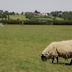 Meadow * Great Edston