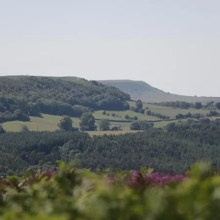 Holiday home Meadow