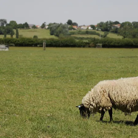 Meadow * Great Edston